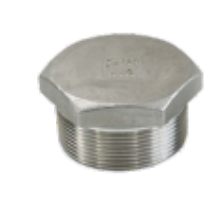 Hollow Plug Stainless Steel Malleable Fittings 316 S/S